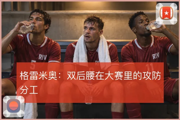 格雷米奥：双后腰在大赛里的攻防分工