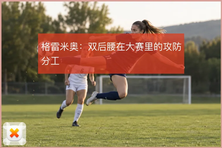 格雷米奥：双后腰在大赛里的攻防分工