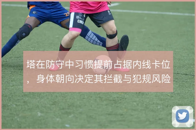 塔在防守中习惯提前占据内线卡位，身体朝向决定其拦截与犯规风险